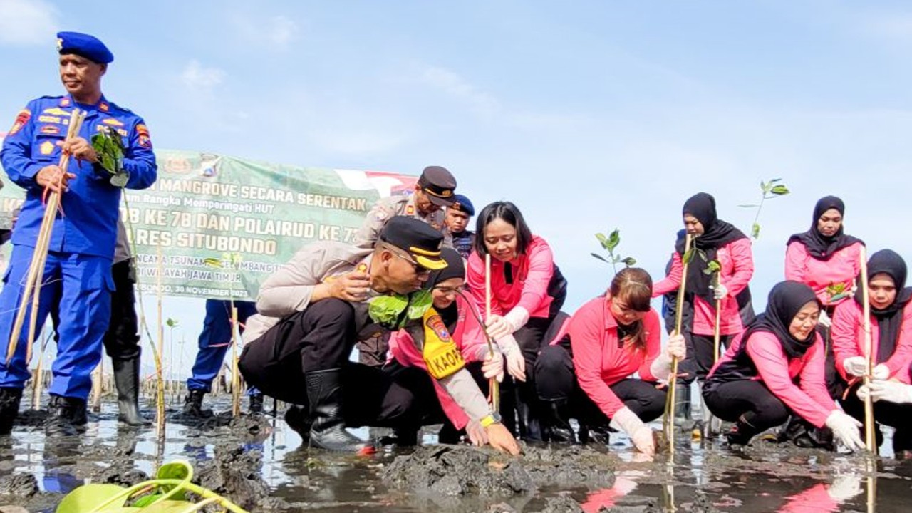 Kapolres Situbondo AKBP Dwi Sumrahadi Rakhmanto didampingi ibu-ibu Bhayangkari menanam mangrove di kawasan Pantai Cemara, Desa Duwet, Kecamatan Panarukan, Situbondo, Jatim. Kamis (30/11/2023) ANTARA/Novi Husdinariyanto