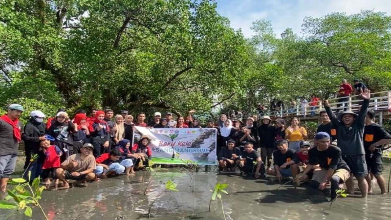 Karang Taruna Waiheru Ambon bersama stakeholder menanam ratusan mangrove di Teluk Ambon. (ANTARA/Winda Herman)