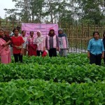 Kelompok Tani-1700734985