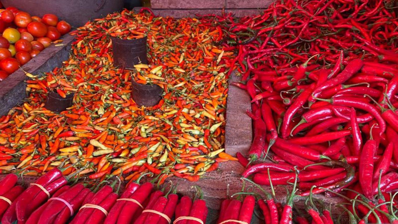 Cabai yang dijual di Pasar Basah Mandonga, Kota Kendari. (Antara/La Ode Muh Deden Saputra)