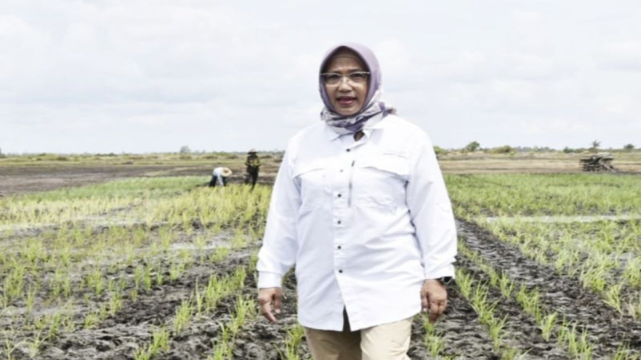 Kepala Dinas TPHP Kalimantan Tengah, Sunarti. (ANTARA/HO-Diskominfosantik Kalteng)