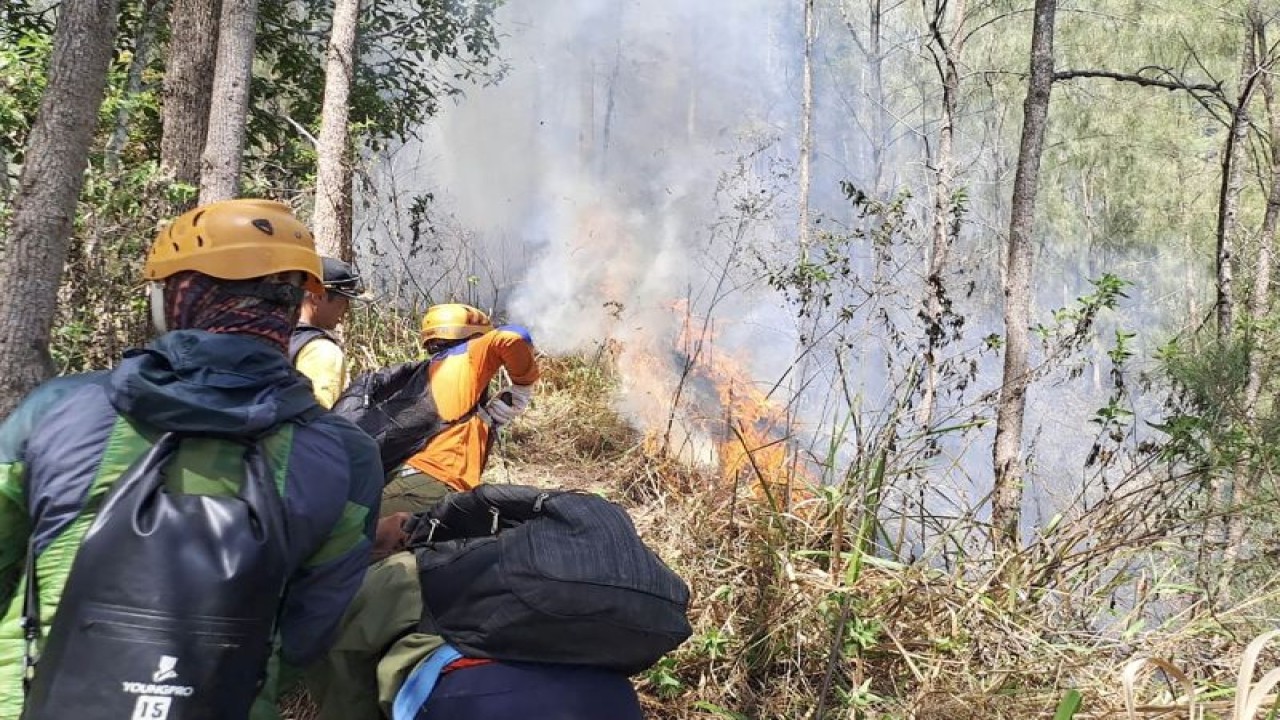 Personel gabungan pada saat melakukan pemadaman api di Gunung Panderman, Kota Batu, Jawa Timur, Rabu (22/11/2023). ANTARA/HO-BPBD Kota Batu.