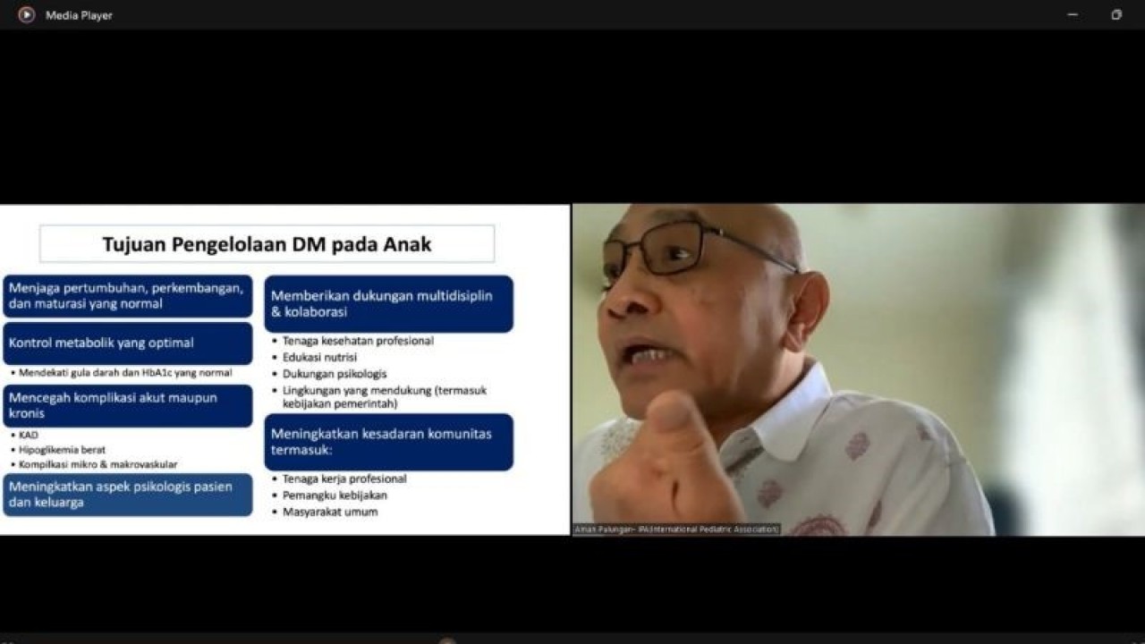 Tangkapan layar dokter spesialis anak konsultan endokrinologi dari Ikatan Dokter Anak Indonesia (IDAI) Prof Aman Bhakti Pulungan, dalam taklimat media terkait Hari Diabetes Sedunia 2023 yang diikuti secara daring di Jakarta, Senin (6/11/2023). (ANTARA/Sean Muhamad)