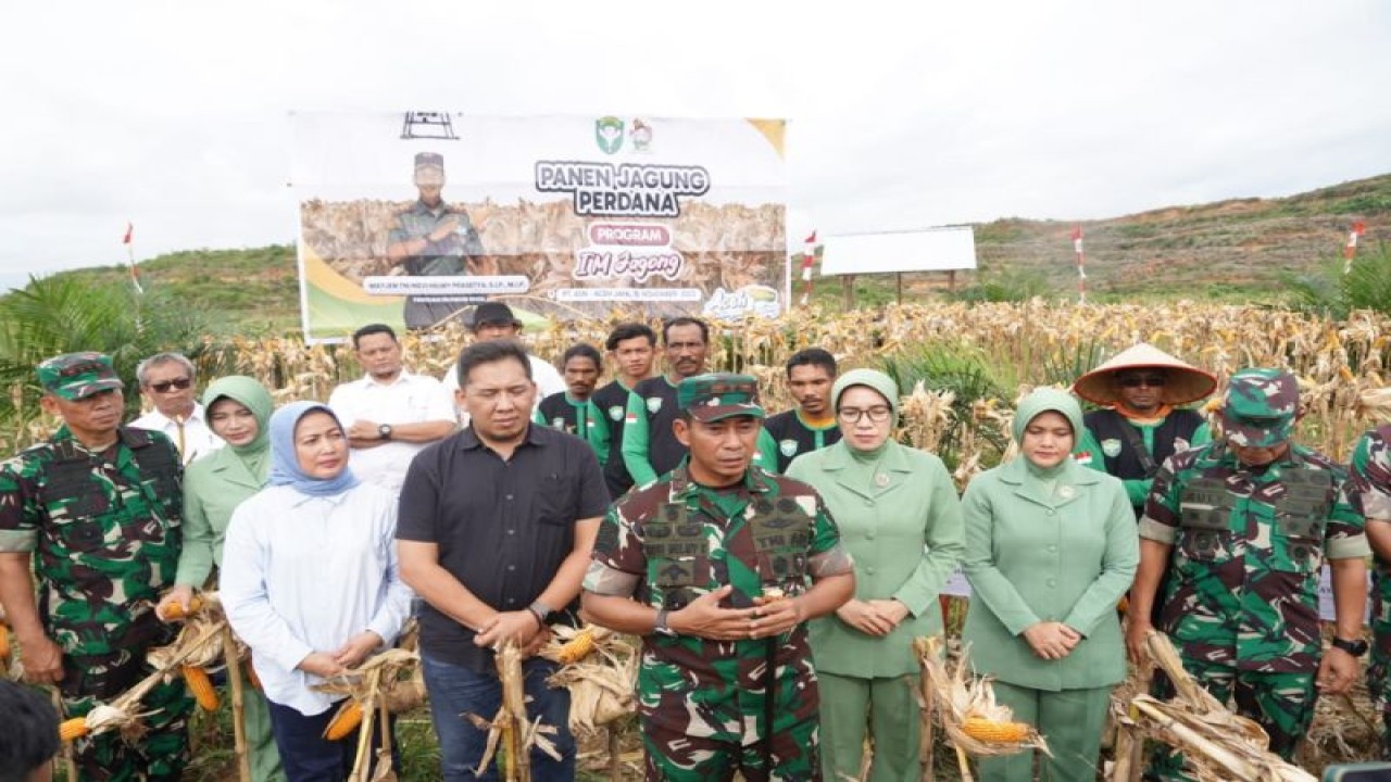 Panglima Komando Daerah Militer Iskandar Muda (Pangdam IM) Mayor Jenderal TNI Novi Helmy Prasetya panen perdana jagung di Aceh Jaya (ANTARA/ HO-Pendam IM)