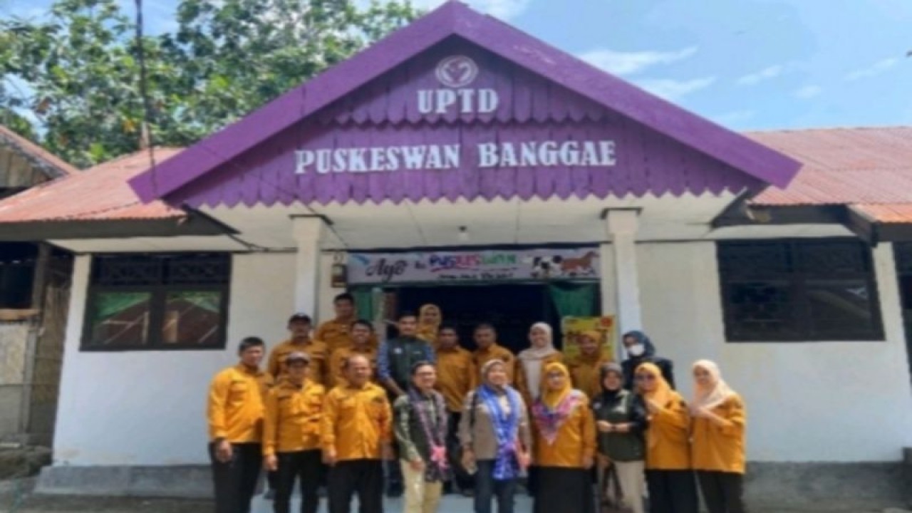 Pusat kesehatan hewan (Puskesmas) Kecamatan Banggae Kabupaten Majene di Provinsi Sulawesi Barat (Sulbar) diutus untuk mengikuti lomba puskeswan tingkat nasional di Majene, Rabu (08/11/2023) ANTARA Foto/ M Faisal Hanapi