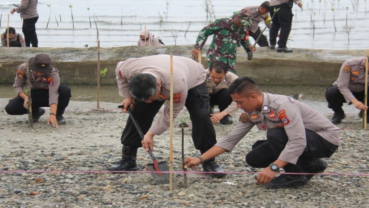 Personel Polda Sulteng bersama unsur TNI melakukan penanaman pohon di kawasan pinggiran pantai Popa, di Kota Palu, Jumat (3/11/2023). (ANTARA/HO-Humas Polda Sulteng)