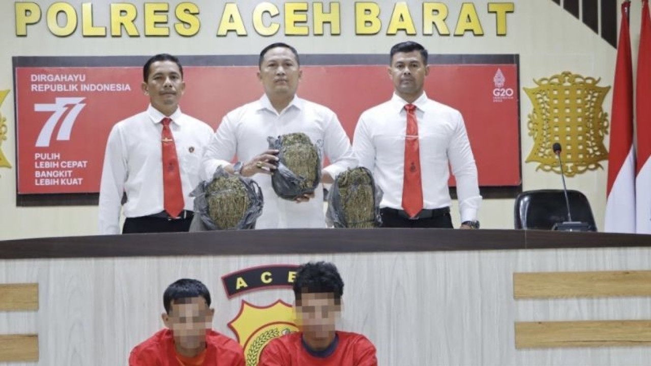 Polres Aceh Barat memperlihatkan dua orang tersangka pengedar narkotika jenis ganja dan barang bukti ganja kering seberat tiga kilogram, saat diamankan di Mapolres setempat di Meulaboh, Senin (27/11/2023). (ANTARA/HO-Dok. Polres Aceh Barat)