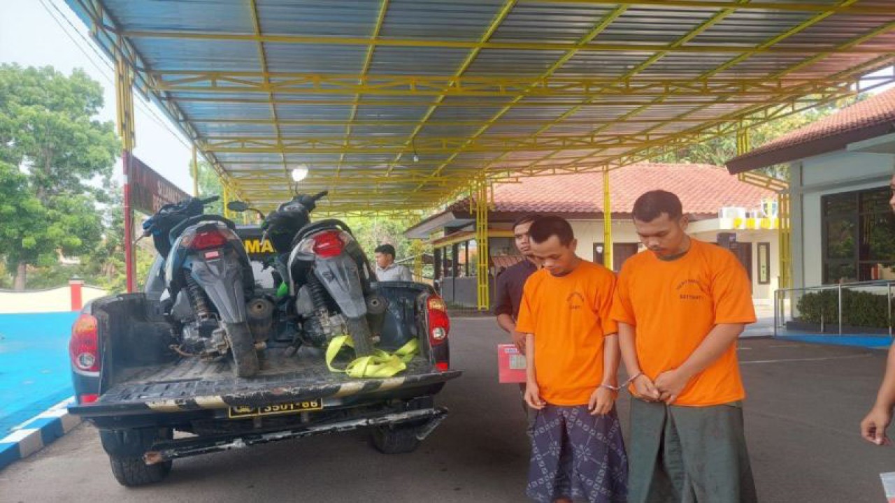 Polres Bangkalan menggelandang tersangka kasus pencurian sepeda motor di mapolre setempat, Selasa (7/11/2023) (ANTARA/ HO-Polres Bangkalan)