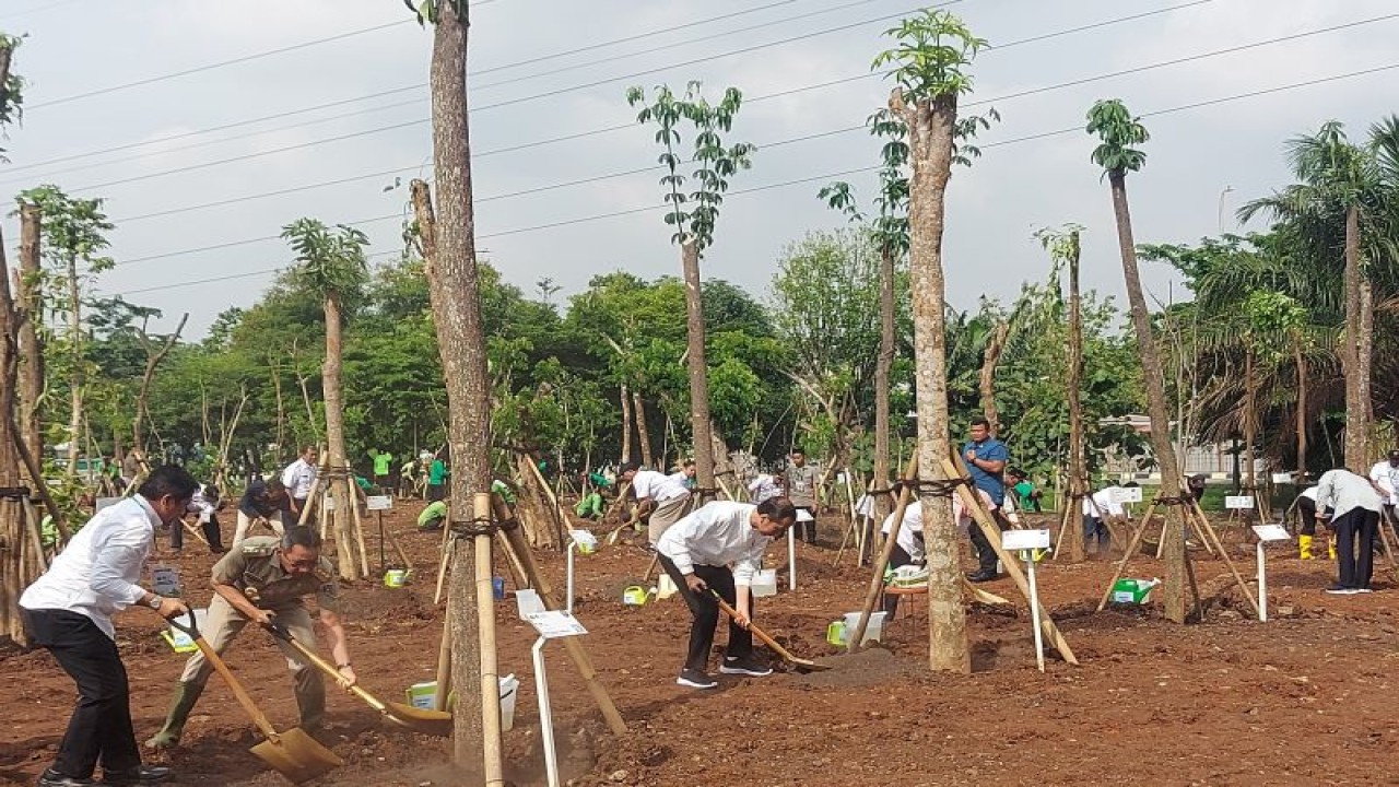 Presiden RI Joko Widodo saat memimpin pelaksanaan Gerakan Menanam Pohon di Hutan Kota Kawasan Industri Pulogadung, Jakarta Timur, Rabu (29/11/2023). Jokowi menyerukan seluruh pemangku kepentingan di wilayah provinsi untuk memanfaatkan momentum musim hujan dengan menanam pohon. (ANTARA/Andi Firdaus).