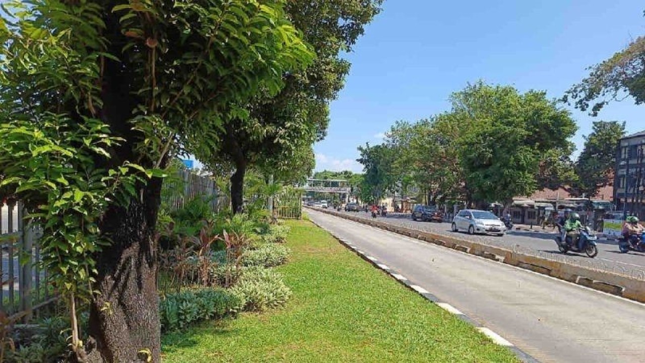 Ruang terbuka hijau (RTH) di Jalan Matraman Raya, Jakarta Timur, Selasa (12/09/23). ANTARA/ Donny Aditra