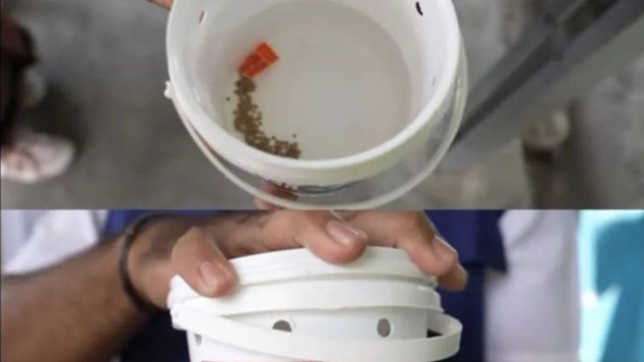 Teknologi Wolbachia. ANTARA/HO-Kemenkes/pri.