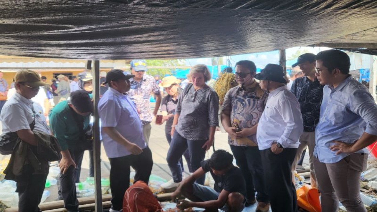 Tim Bank Dunia dipimpin langsung Country Director untuk Indonesia dan Timor Leste, Satu Kahkonen, beserta tim dari Kementerian Kelautan dan Perikanan (KKP) untuk melihat potensi perikanan di Nunukan, Kamis (2/11/2023). (ANTARA/HO-DKISP Provinsi Kaltara)