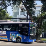 TMP-1699699596