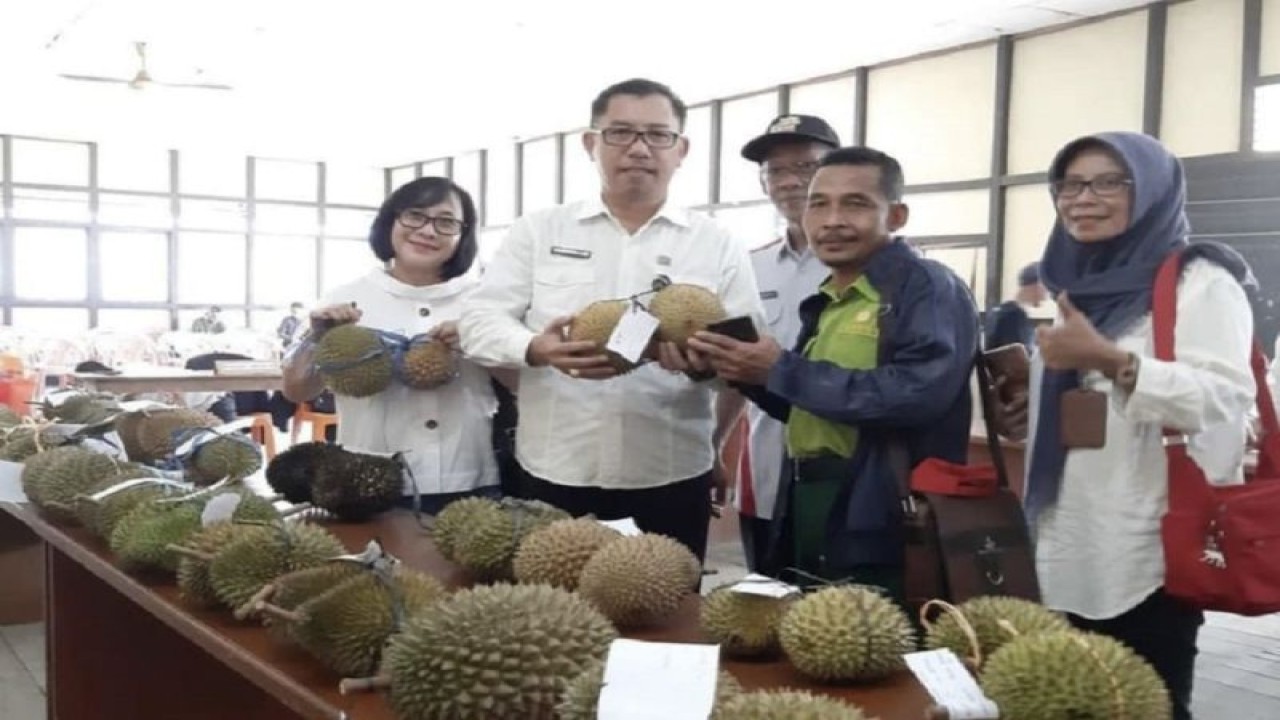 Kadis TPH Kalbar memperlihatkan durian Kalbar (ANTARA/Dedi)
