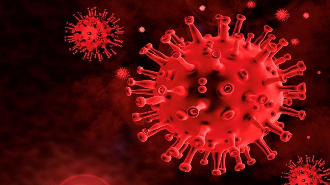 Ilustrasi. Covid-19. (Istimewa)