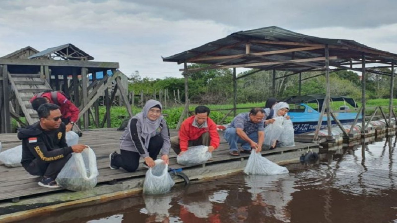 Kepala Dinas Perikanan Kota Palangka Raya Indriarti Ritadewi (dua kiri) melepasliarkan benih ikan di kawasan Danau Tundai. (ANTARA/HO-Dokumentasi Pribadi)
