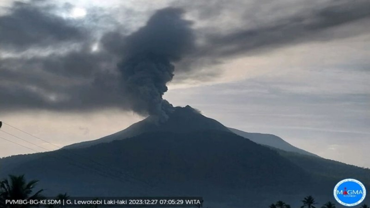 Gunung api Lewotobi Laki-laki di Flores Timur, NTT mengalami erupsi pada Rabu (27/12/2023) pukul 07.00 Wita. (ANTARA/HO-PVMBG)