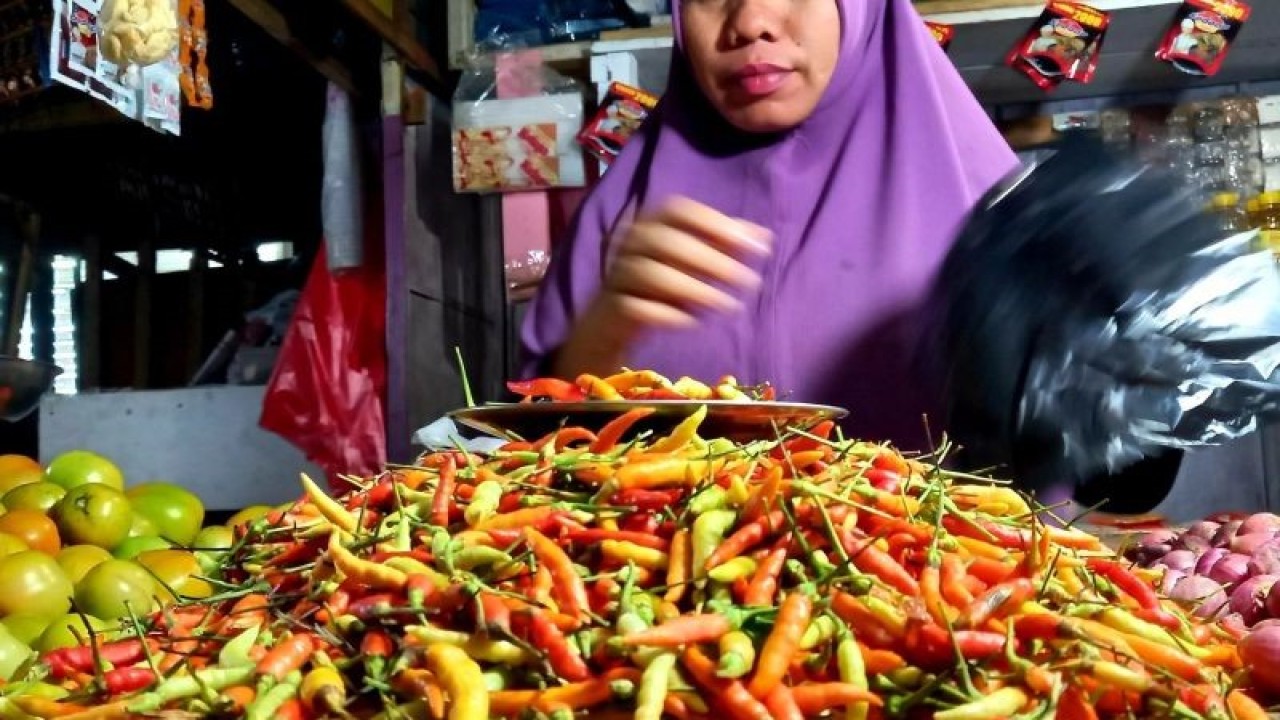 Komoditas cabai rawit sebagai salah satu rempah utama bagi warga Gorontalo yang umumnya penyuka masakan bercita rasa pedas. Harga cabai rawit kini turun dari Rp175 ribu/kg kini menjadi Rp150 ribu/kg. (ANTARA/Susanti Sako)