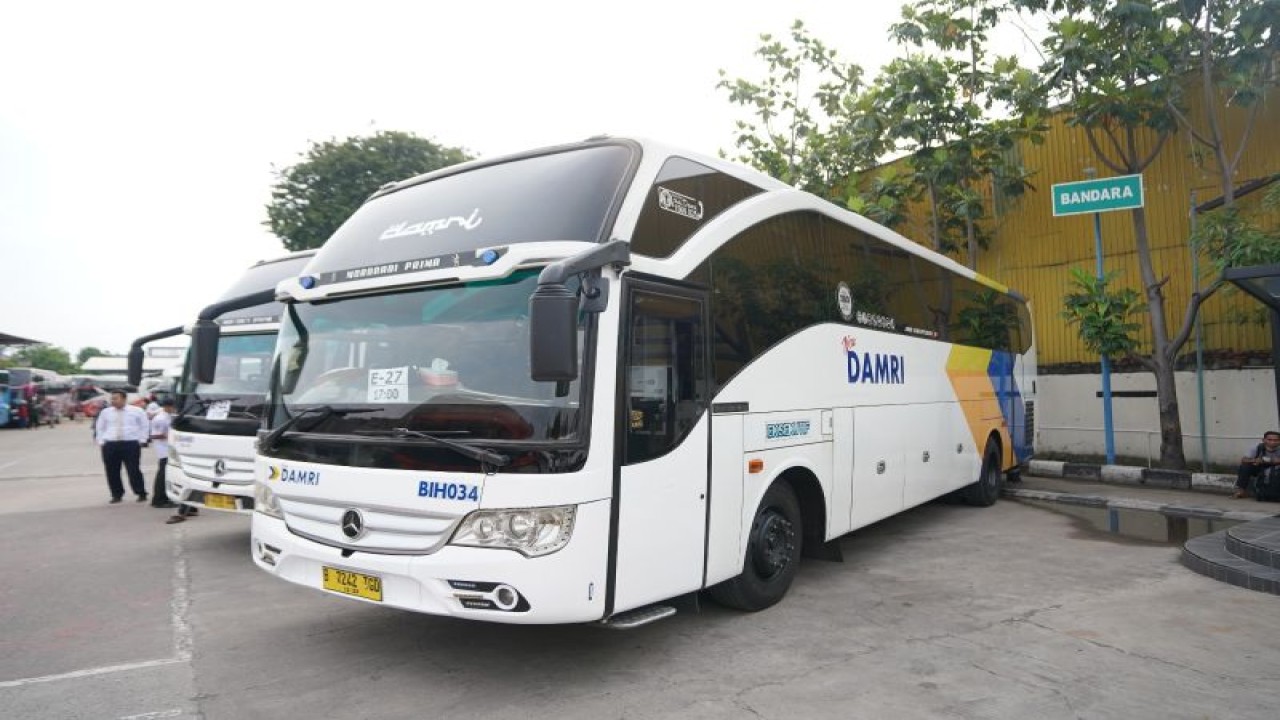 Ilustrasi - Armada bus Damri. ANTARA/HO-Damri