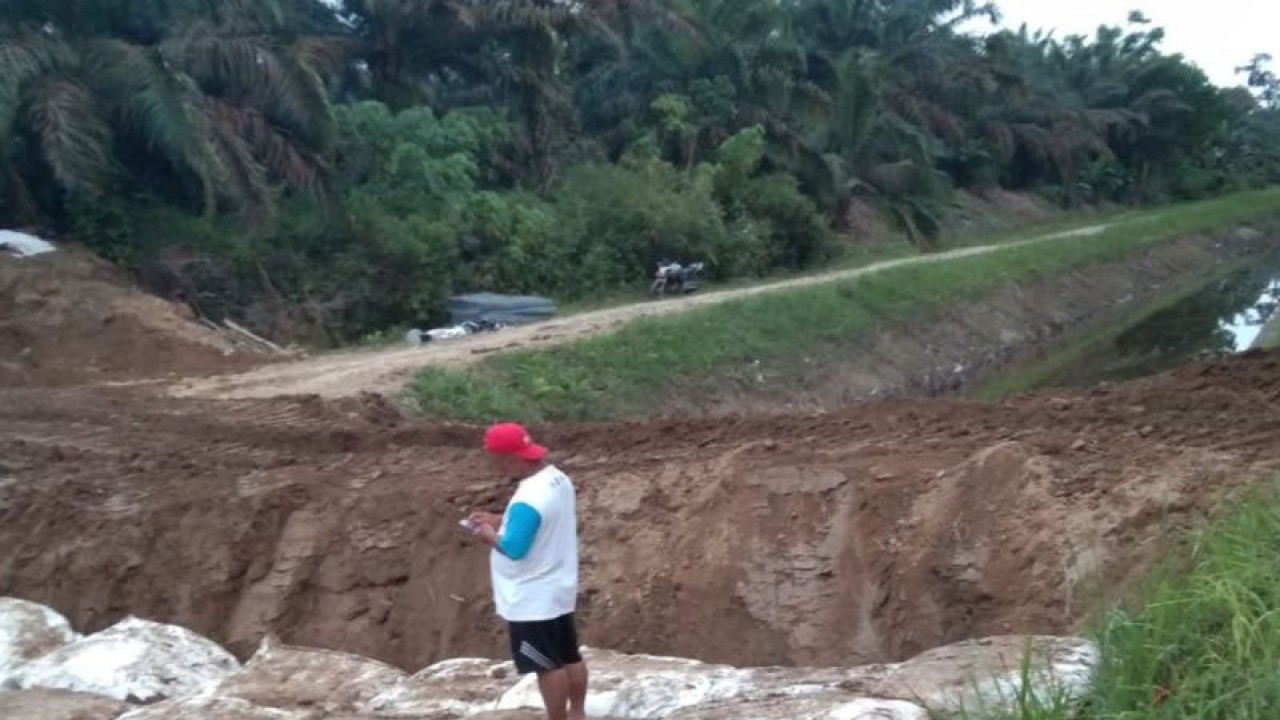 Lokasi saluran irigasi manjuto kanan di Kabupaten Mukomuko yang jebol, Rabu (6/12/2023) ANTARA/Ferri.