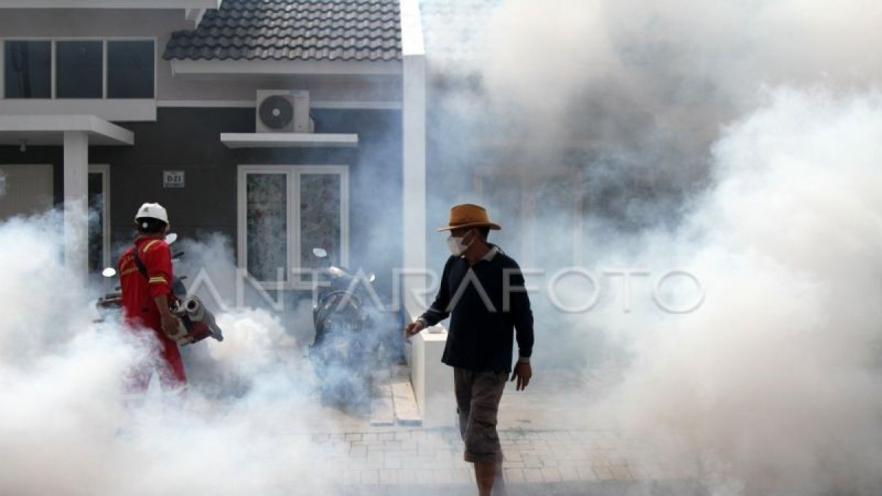 Kegiatan pengasapan atau foging di pemukiman wumah warga. (ANTARA)