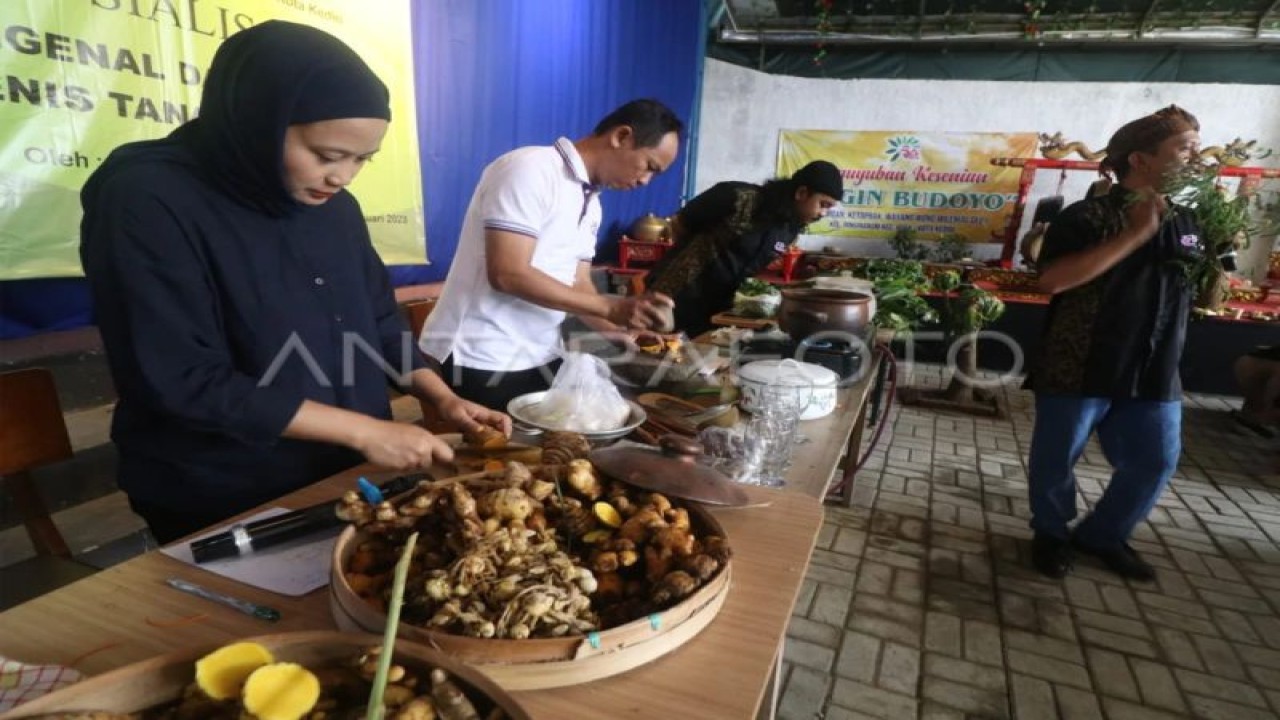 Ilustrasi: Praktisi memperagakan cara membuat jamu tradisional saat sosialisasi mengenal dan meracik tanaman obat di hadapan sejumlah anggota Pemberdayaan Kesejahteraan Keluarga (PKK) di Kelurahan Pakelan, Kota Kediri, Jawa Timur. (ANTARA FOTO/Prasetia Fauzani/foc.)