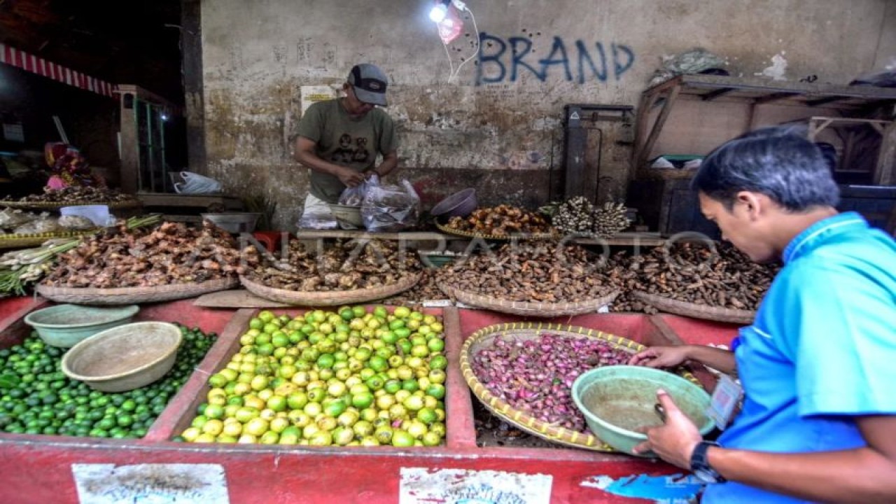 Pedagang rempah-rempah melayani pembeli di Pasar Cikurubuk, Kota Tasikmalaya, Jawa Barat, Senin (23/3/2020). Direktur Jenderal Kefarmasian dan Alat Kesehatan Kementerian Kesehatan (Kemenkes) RI Dr Rizka Andalucia mengatakan Indonesia memiliki potensi besar untuk dapat mengembangkan obat bahan alam. (ANTARA FOTO/Adeng Bustomi/ama.)