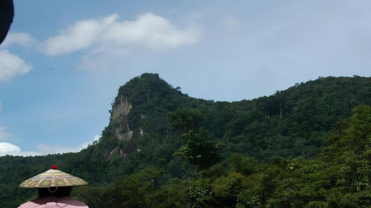 Ilustrasi - Salah satu area Taman Nasional Hutan Kayan Mentarang di Kabupaten Malinau, Kalimantan Utara. (ANTARA/HO-BTN Kayan Mentarang)