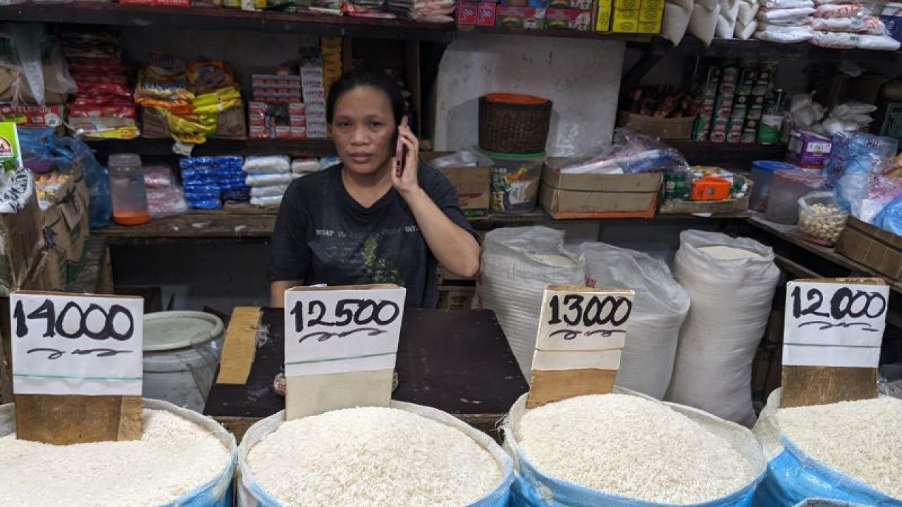 Pedagang beras di salah satu pasar tradisional, Medan. (ANTARA/Michael Siahaan)