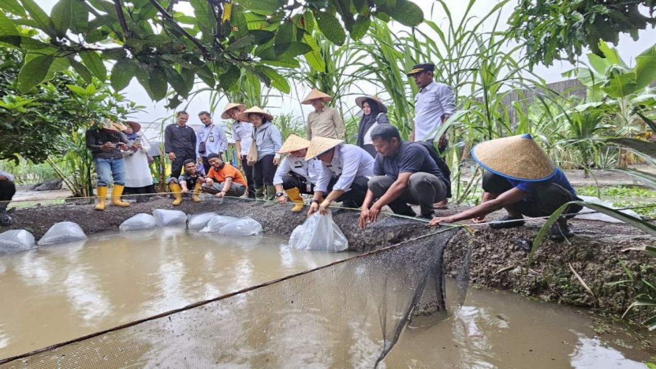 Para narapidana dan tahanan di Lapas KUala Tungkal sedang mempraktikkan budi daya ikan. (ANTARA/HO-Dea)