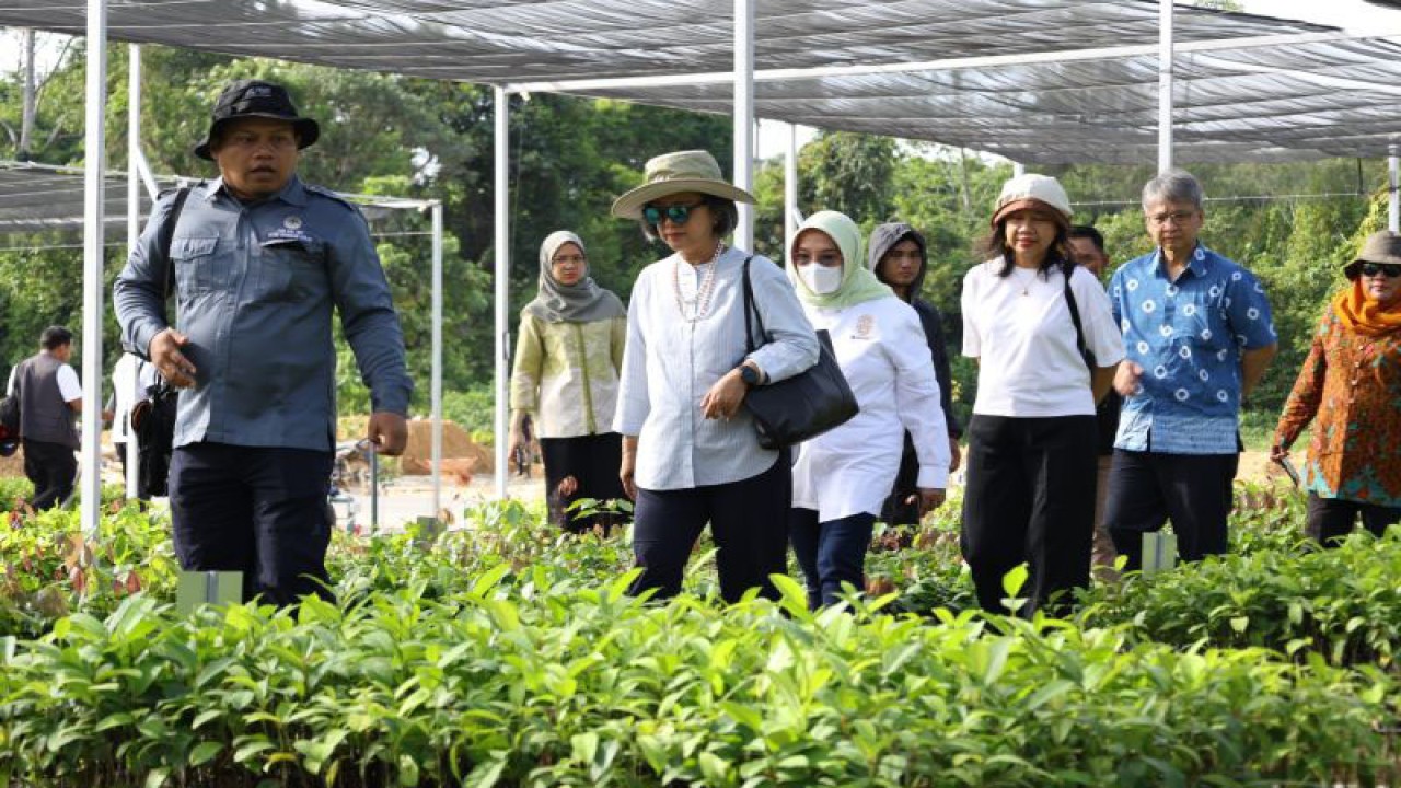 Executive Director​​​​​​​ of United Nations Economic and Social Commission for Asia and the Pacific (UNESCAP) Armida Alisjahbana mengunjungi Ibu Kota Nusantara untuk meninjau keselarasan pembangunan ibu kota baru tersebut dengan visi pembangunan berkelanjutan (Sustainable Development Goals/SDGs), Minggu (17/12/2023). (ANTARA/HO-OIKN)