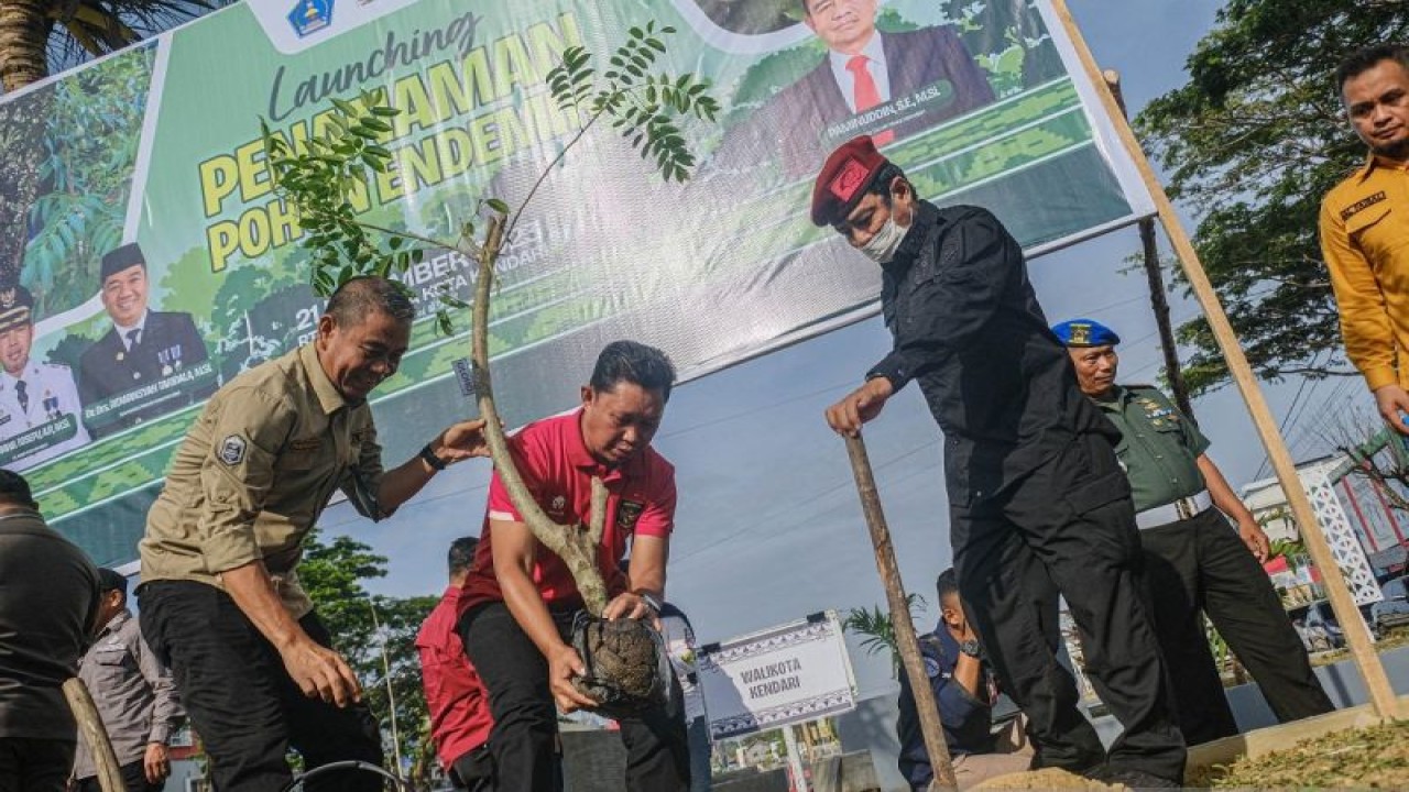 Pj.Walikota Kendari, Asmawa Tosepu (tengah pegang pohon) didampingi Kepala DLHK Kota Kendari Paminuddin (kiri), melakukan penanaman pohon endemik jenis oloho, di salah satu kawasan Ruang Terbuka Publik di kali Kadia, Kamis. (Foto Antara/Andri Denisah)