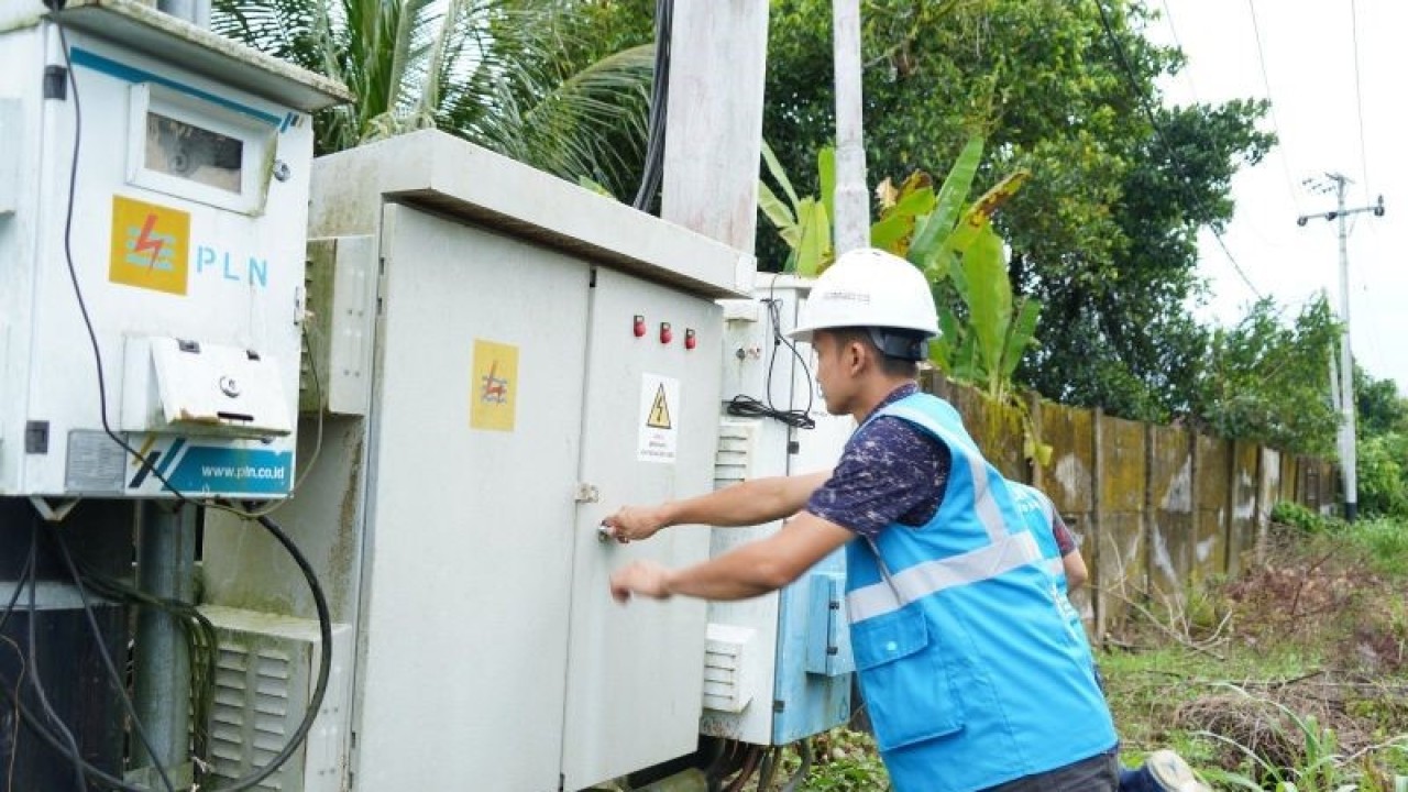 Petugas PLN memeriksa jaringan listrik. (ANTARA/HO-PLN UID Sumbar)