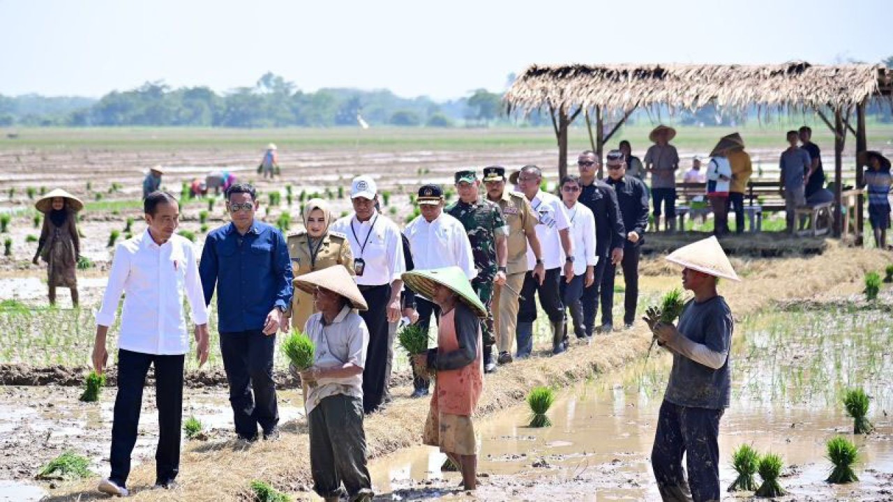 Presiden Joko Widodo berdialog dengan petani di Kecamatan Kesesi, Kabupaten Pekalongan, Provinsi Jawa Tengah, Rabu (113/12/2023). ANTARA/HO-Biro Pers Sekretariat Presiden