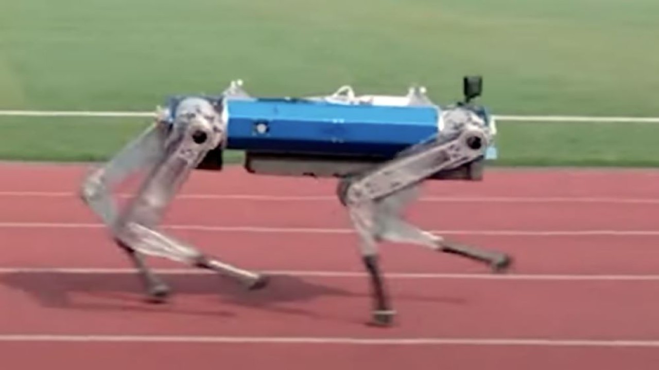 Robot anjing berkaki empat bernama Hound membukukan rekor dunia guinness lari 100 meter dengan waktu 19,87 detik.  (NewAtlas)