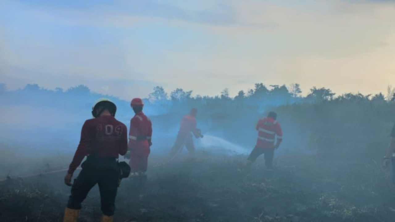 Salah satu lahan gambut yang terbakar di Kota Bengkulu kemarin (18/12). ANTARA/Anggi Mayasari