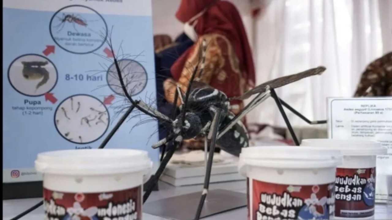 Telur nyamuk ber-Wolbachia. (ANTARA/HO-Kementerian Kesehatan)