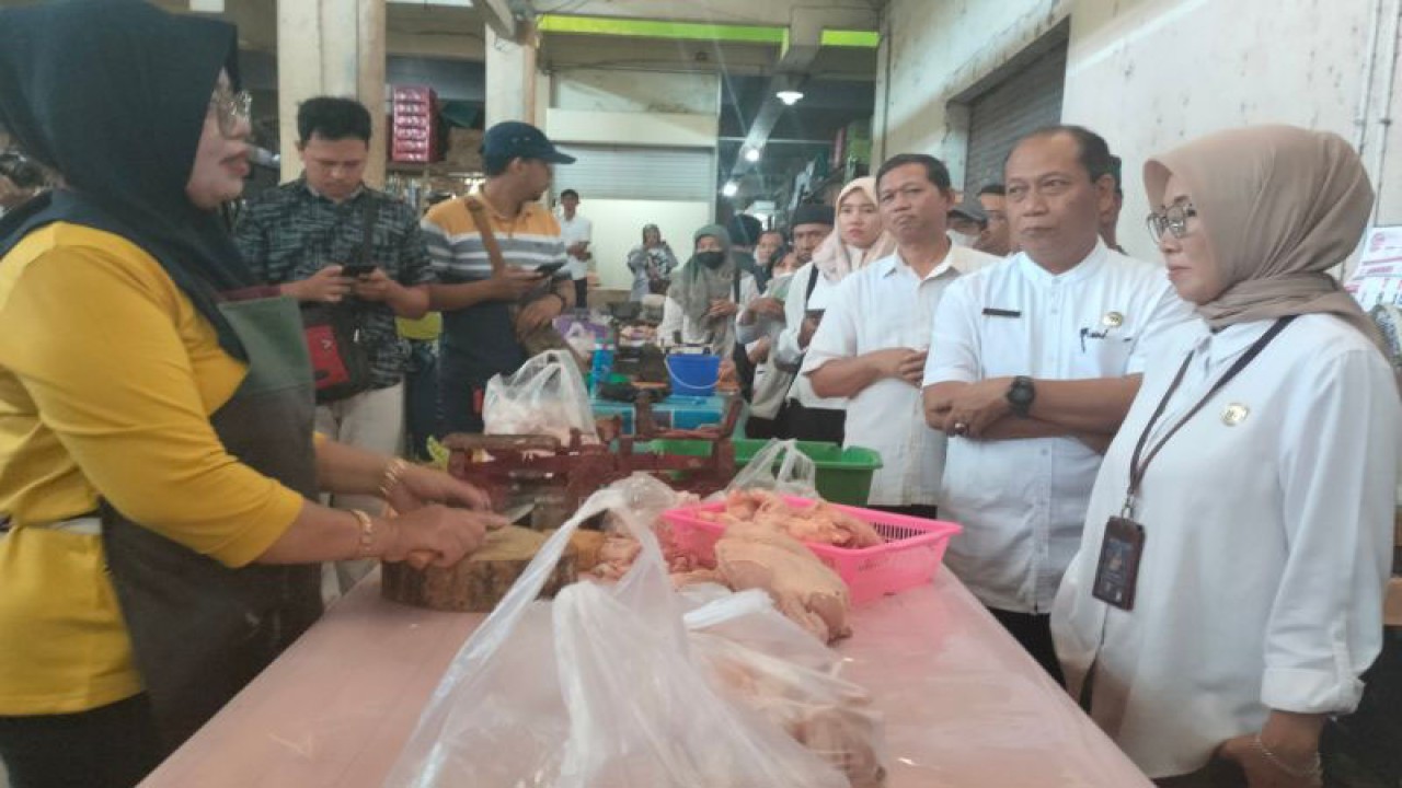 TPID DIY pantau ketersediaan bahan pokok di Kulon Progo. (ANTARA/Sutarmi)