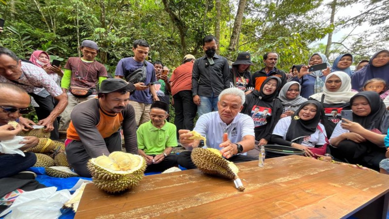 Capres RI Ganjar Pranowo saat makan durian bersama warga di Desa Wilayu, Kecamatan Selomerto, Kabupaten Wonosobo, Jawa Tengah, Senin (18/12/2023). (ANTARA/Narda Margaretha Sinambela)