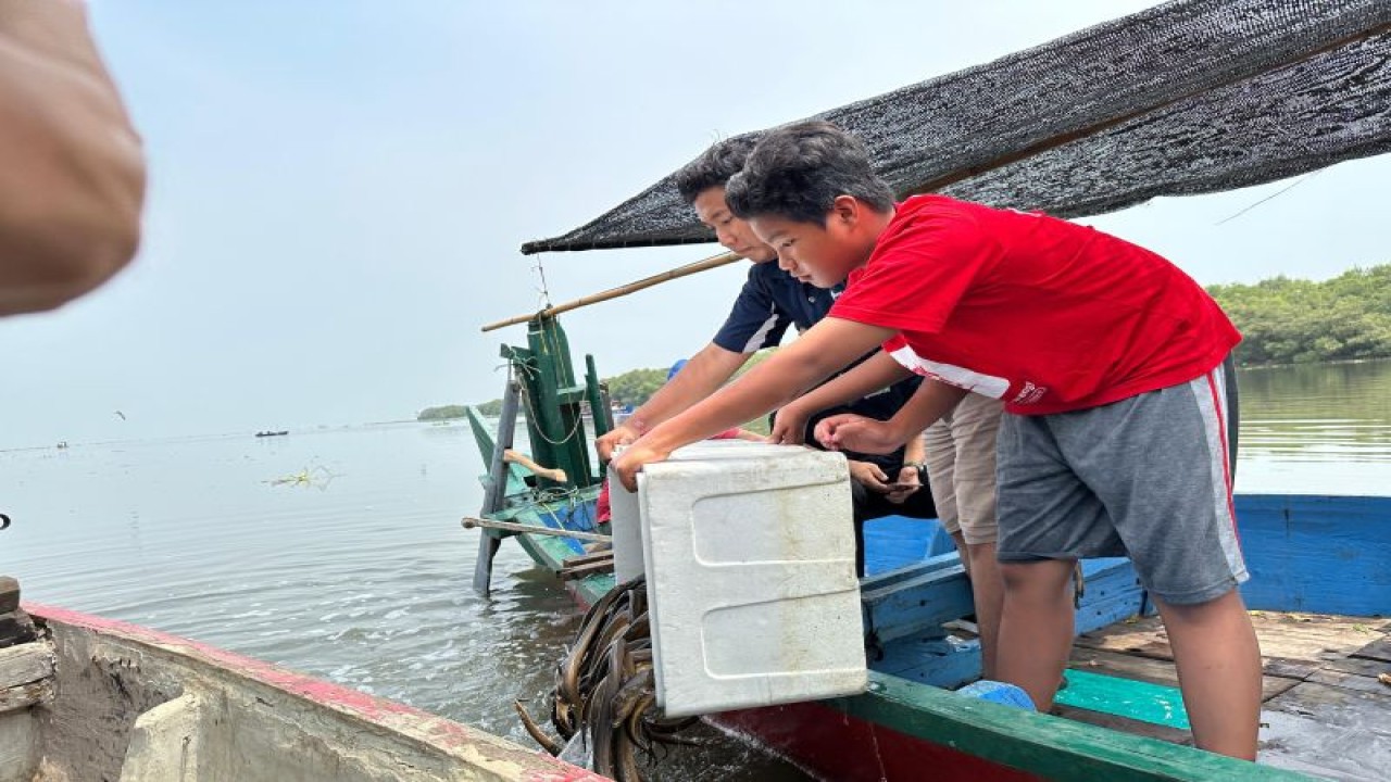 Young Budhhist Association (YBA) bersama Ecoton melepaskan ribuan jenis ikan satwa yang terancam dibunuh di Wisata Kebun Raya Mangrove Gunung Anyar, Kota Surabaya, Jawa Timur, Sabtu (9/12/2023). (ANTARA/HO-YBA)