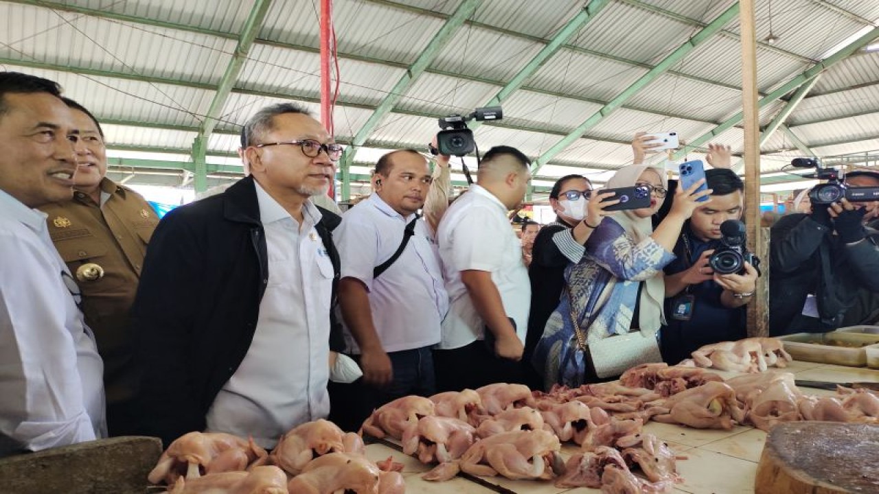 Menteri Perdagangan (Mendag) Zulkifli Hasan saat memantau harga bahan pokok di Pasar Tradisional Kangkung Kecamatan Teluk Betung Kota Bandarlampung. Bandarlampung, Selasa (5/12/2023). ANTARA/Ruth Intan Sozometa Kanafi.