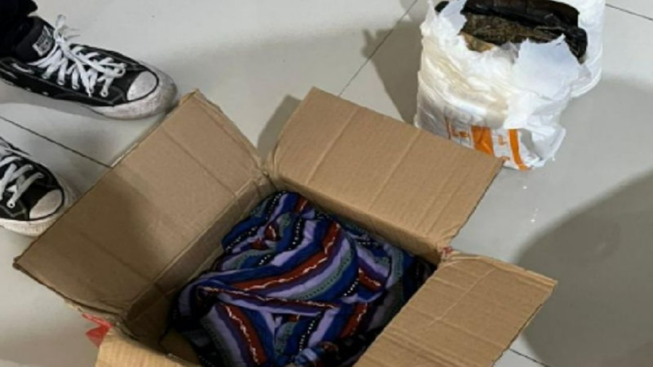 Barang bukti narkotika golongan I jenis ganja hasil operasi gabungan usai diselundupkan melalui jasa pengiriman di Makassar, Sulawesi Selatan. ANTARA/HO-Dokumentasi Bea Cukai Makassar.