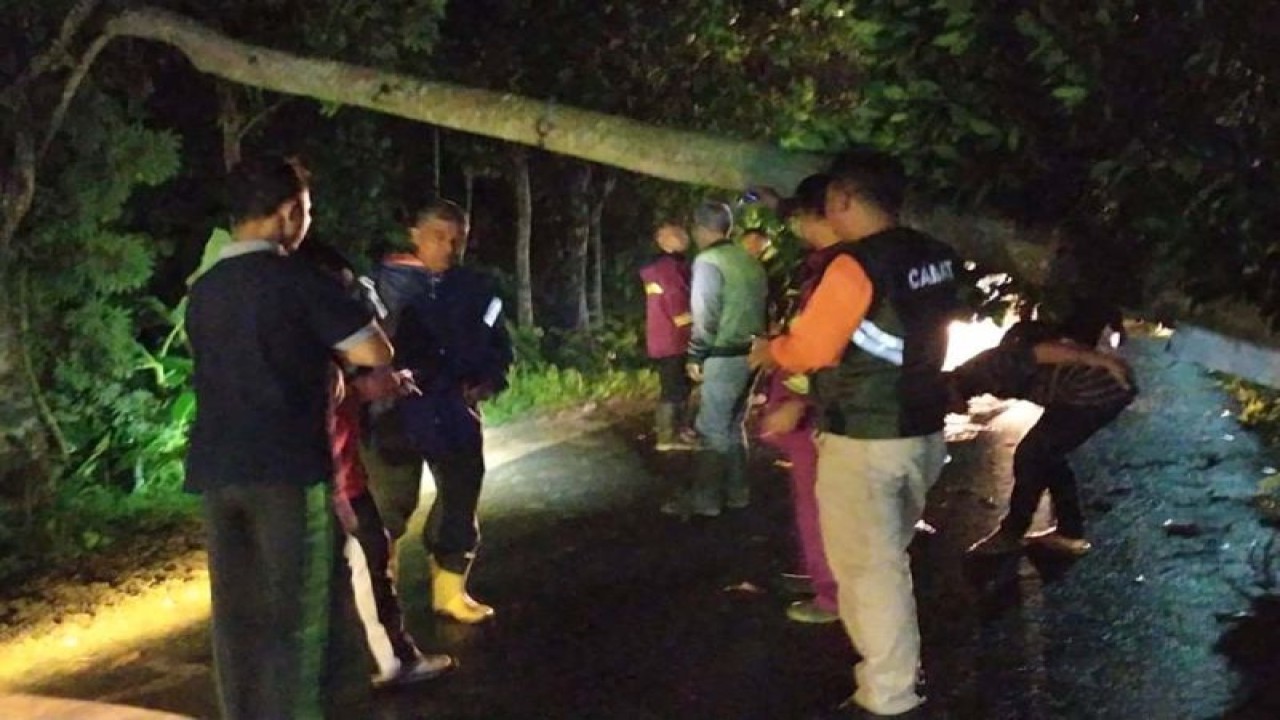 Petugas gabungan mengevakuasi pohon yang tumbang akibat hujan lebat diseretai angin kencang agar tidak mengganggu arus kendaraan di ruas jalan Desa Kunci, Kecamatan Sidareja, Kabupaten Cilacap, Rabu (3/1/2024) malam. ANTARA/HO-BPBD Cilacap