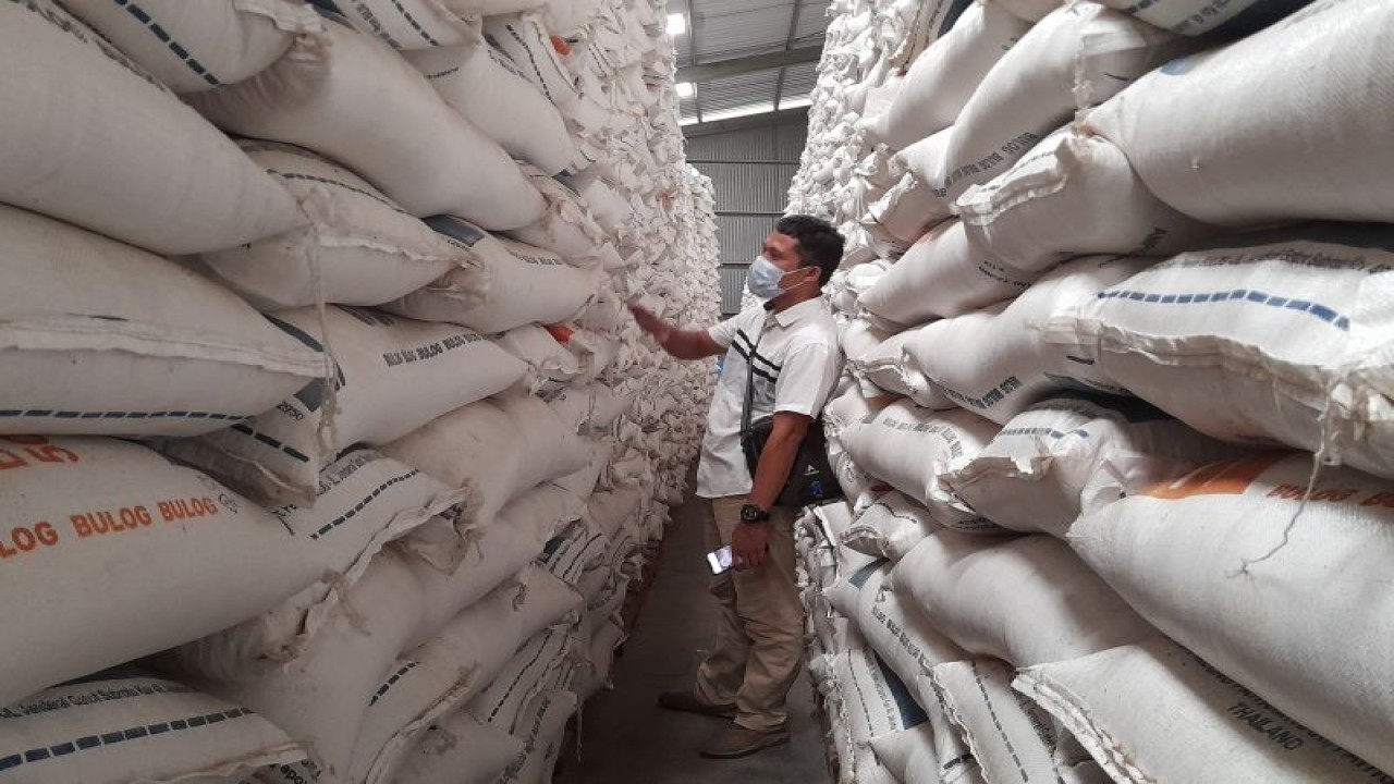Petugas Bulog saat melakunan pengecekan beras di Bulog beberapa waktu lalu. ANTARA/Desi Purnama Sari