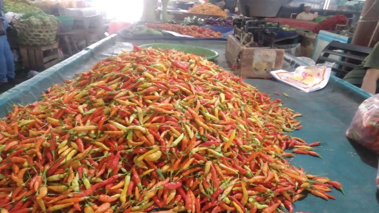 Ilustrasi: stok cabai pada salah satu pedagang di pasar tradisional Kota Mataram, Provinsi Nusa Tenggara Barat. (ANTARA/Nirkomala)