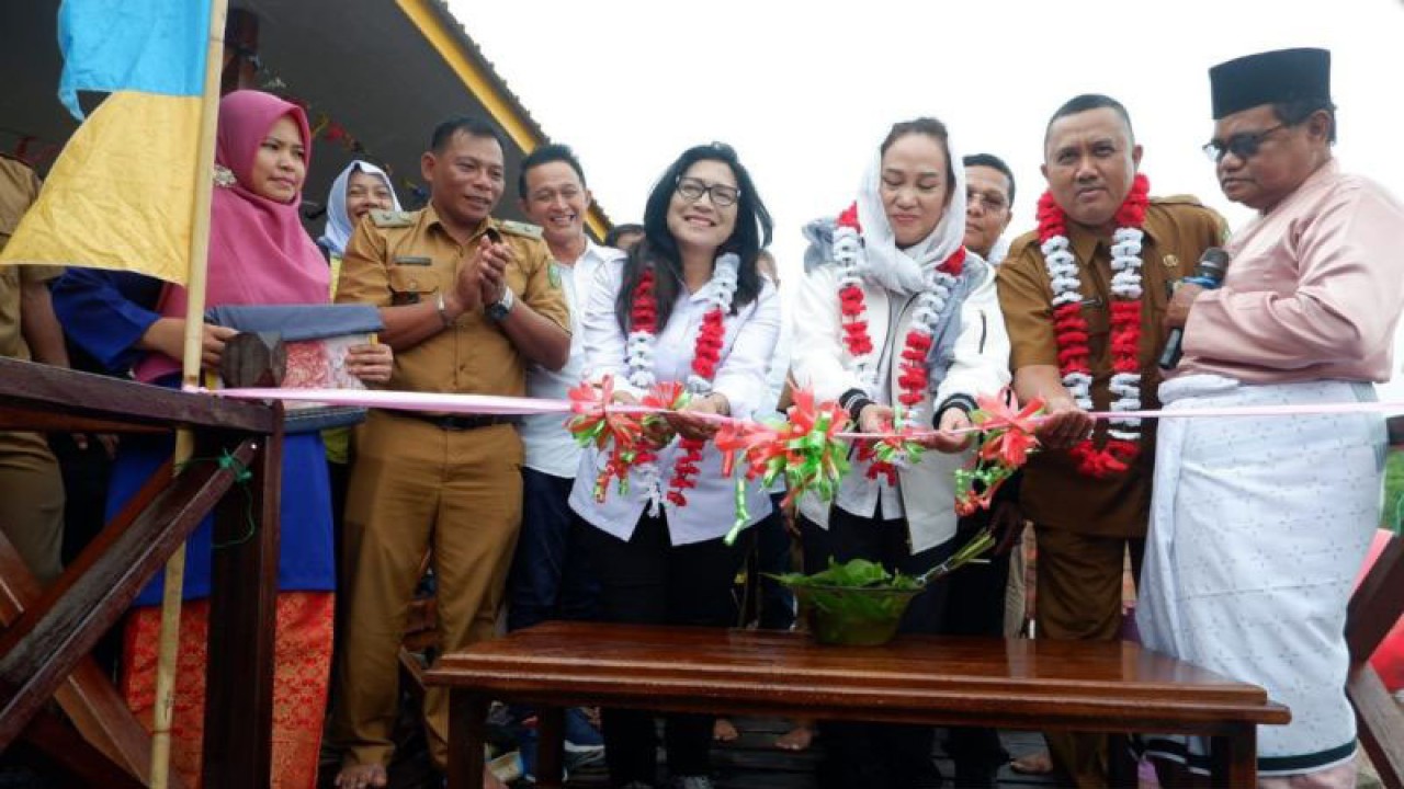 Anggota Komisi V DPR RI Cen Sui Lan (Jilbab putih) saat meresmikan penggunaan jembatan wisata mangrove. (ANTARA/Muhamad Nurman)