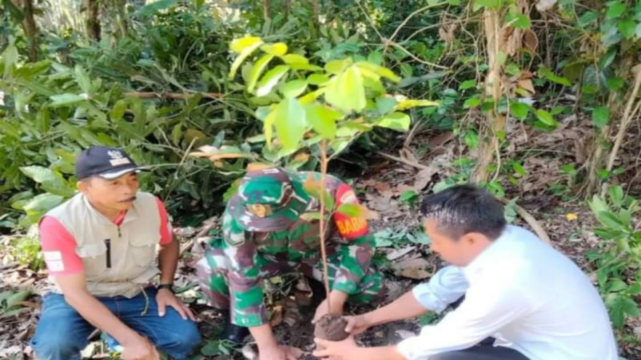 Personel TNI di jajaran Kodim 1402/Polman di Provinsi Sulawesi Barat (Sulbar) menanam pohon untuk mencegah terjadinya banjir, di Mamuju, Selasa (02/1/2023) ANTARA Foto/ M Faisal Hanapi