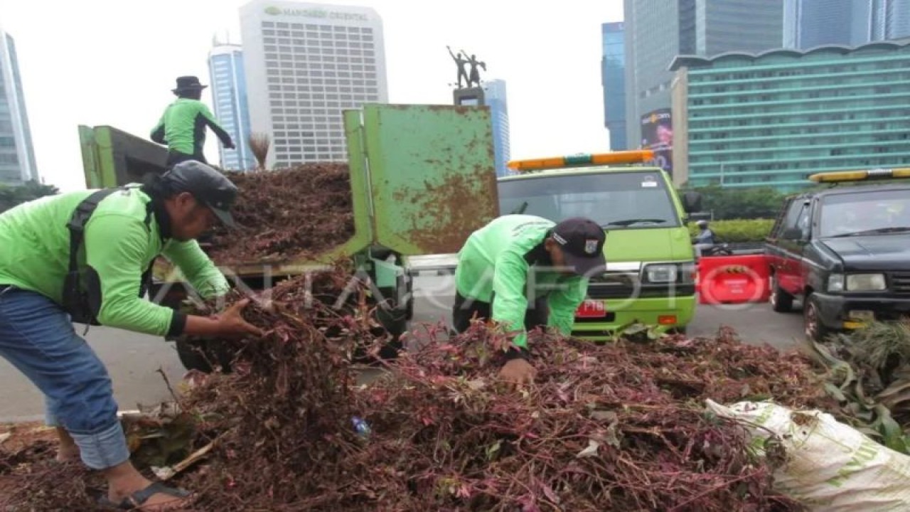 Petugas Dinas Pertamanan dan Hutan Kota Provinsi DKI Jakarta menaikkan tanaman hias yang rusak ke truk di Kawasan Bundaran HI, Jakarta, Senin (1/1/2024). ANTARA FOTO/Reno Esnir/Spt.