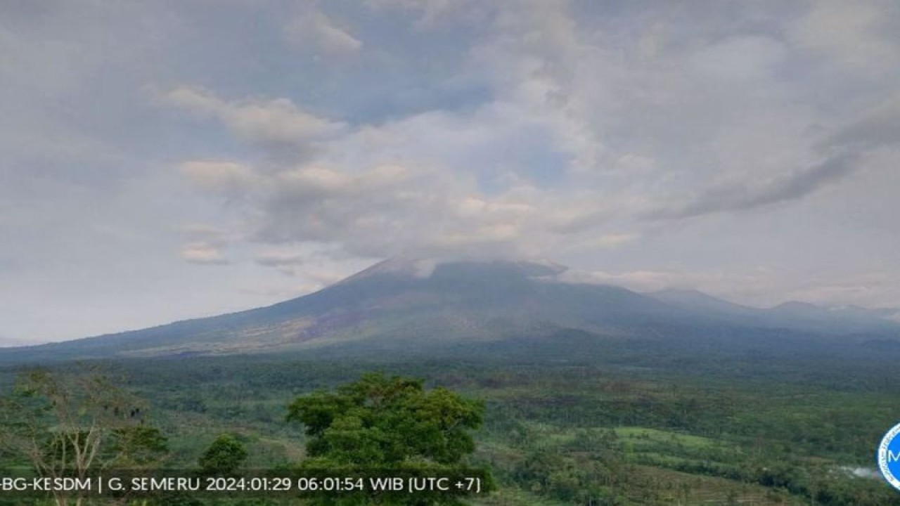 Gunung Semeru yang terpantau dari Pos Pengamatan Gunung api Semeru di Kabupaten Lumajang, Senin (29/1/2024) pagi (ANTARA/HO-PVMBG)