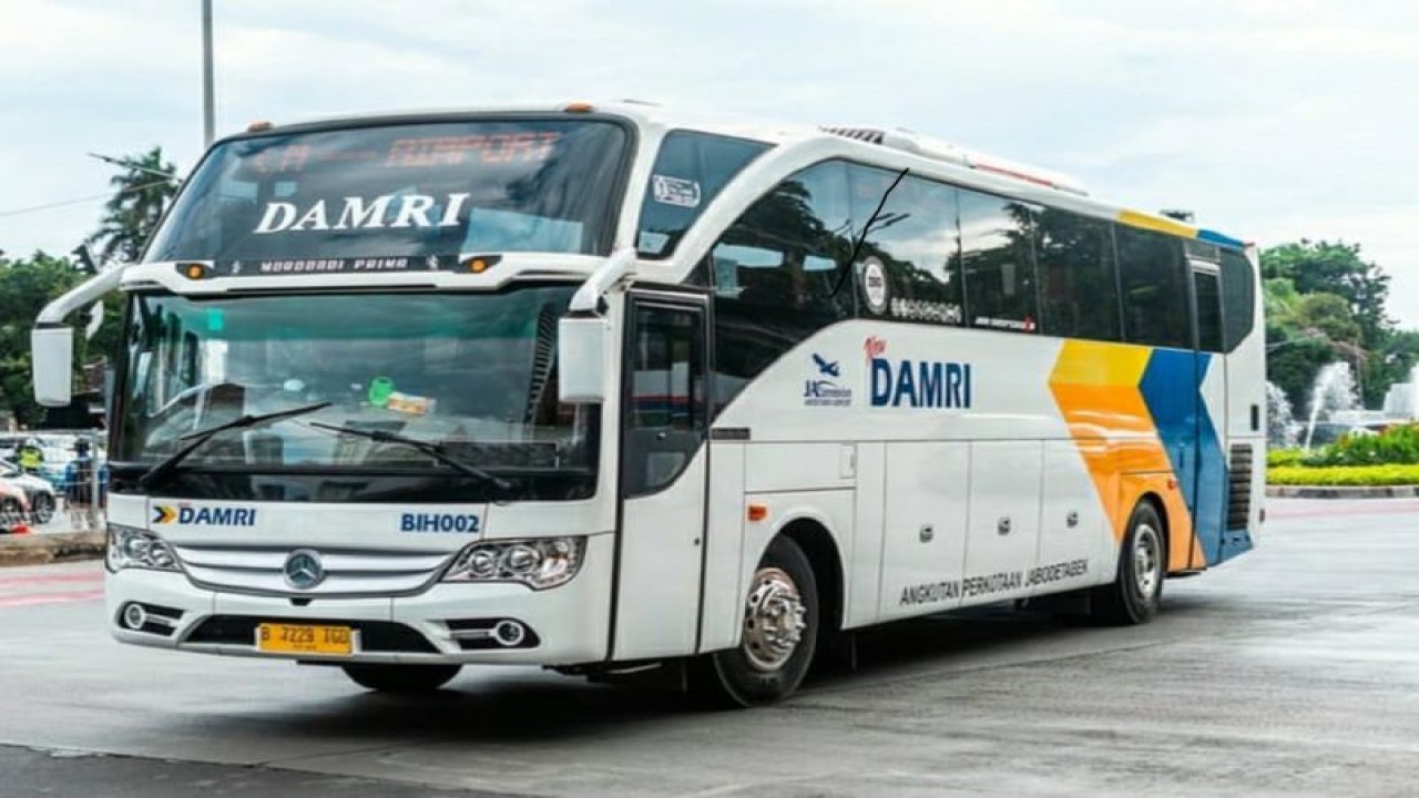 Ilustrasi - Armada Bus Damri. ANTARA/HO-Damri